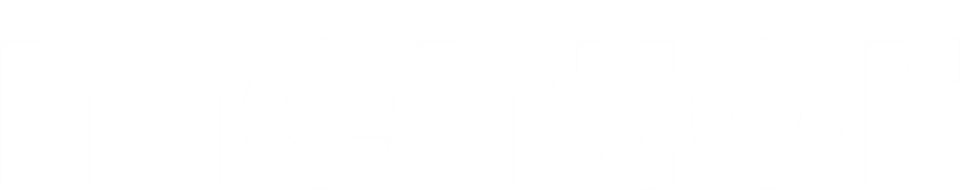 Money Mentor