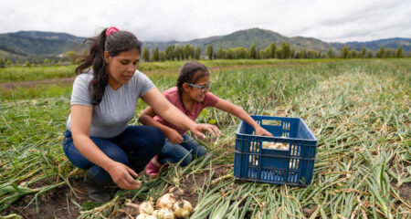 4 Ways to Honor Latinx Culture for Cesar Chavez Day